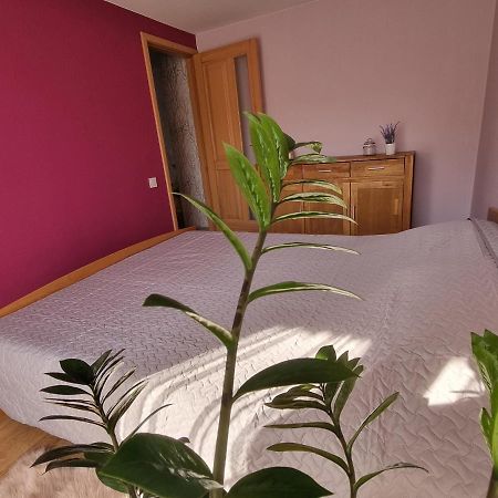 Apartment Kursi Колка Екстер'єр фото
