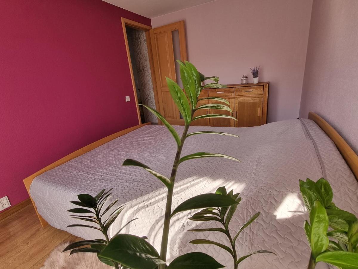 Apartment Kursi Колка Екстер'єр фото